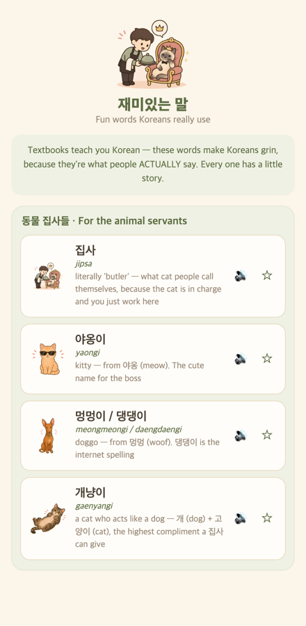 Inside a Mandu lesson, with custom word-picture art